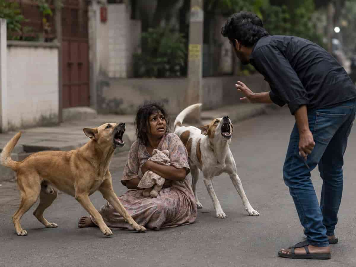 सूनसान गली में अकेली महिला को दबोचने की कोशिश कर रहा था दरिंदा, देवदूत बनकर टूट पड़े गली के आवारा कुत्ते