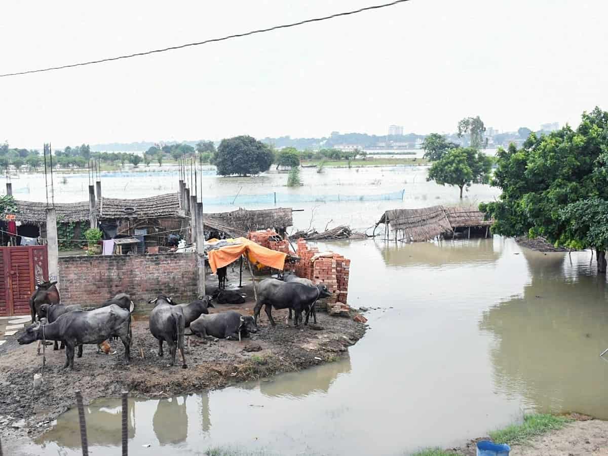 कानपुर में गंगा के रौद्र रूप से 12 गांवों में कैद हुए लोग, तो मुरादाबाद में रामगंगा का घटा जलस्तर