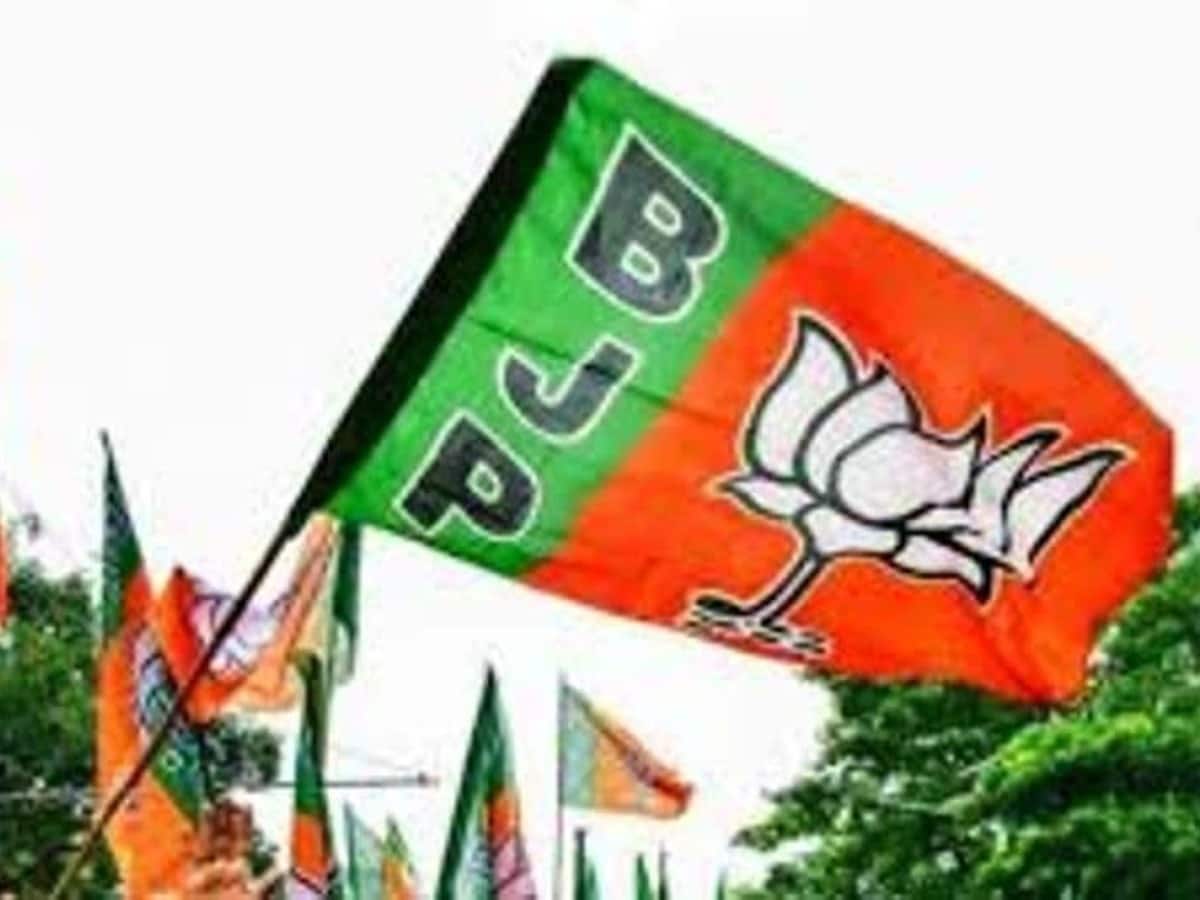 यूपी बीजेपी ने घोषित किए महिला और अनुसूचित जनजाति मोर्चा के जिलाध्यक्ष, जानिए किस जिले में किसे मिली कमान