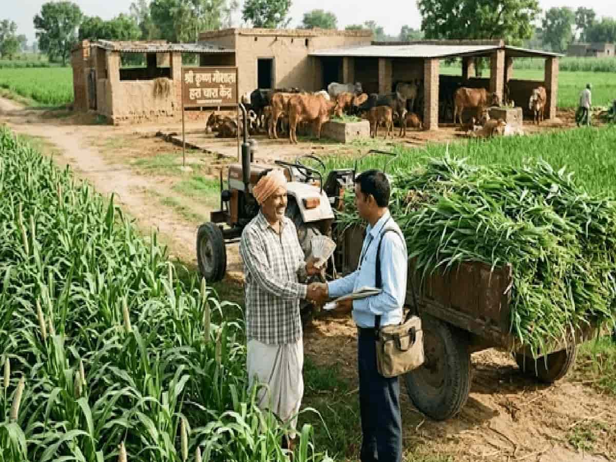 किसानों की आमदनी बढ़ाने का नया जरिया: गोशालाओं के लिए खेतों से सीधा हरा चारा खरीदेगी सरकार